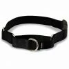 PetSafe Martingale Dog Collar with Quick Snap Buckle 1 PetSafe Martingale Dog Collar with Quick Snap Buckle -PetSafe Store 1182227