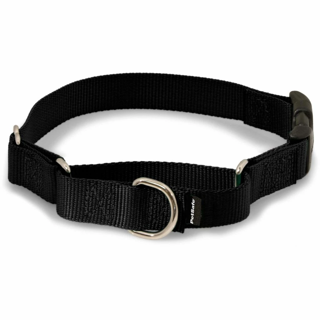 PetSafe Martingale Dog Collar with Quick Snap Buckle 3 PetSafe Martingale Dog Collar with Quick Snap Buckle
