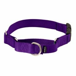 PetSafe Martingale Dog Collar with Quick Snap Buckle 13 PetSafe Martingale Dog Collar with Quick Snap Buckle -PetSafe Store 1182228