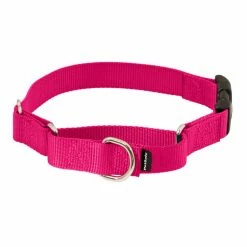 PetSafe Martingale Dog Collar with Quick Snap Buckle 12 PetSafe Martingale Dog Collar with Quick Snap Buckle -PetSafe Store 1182229
