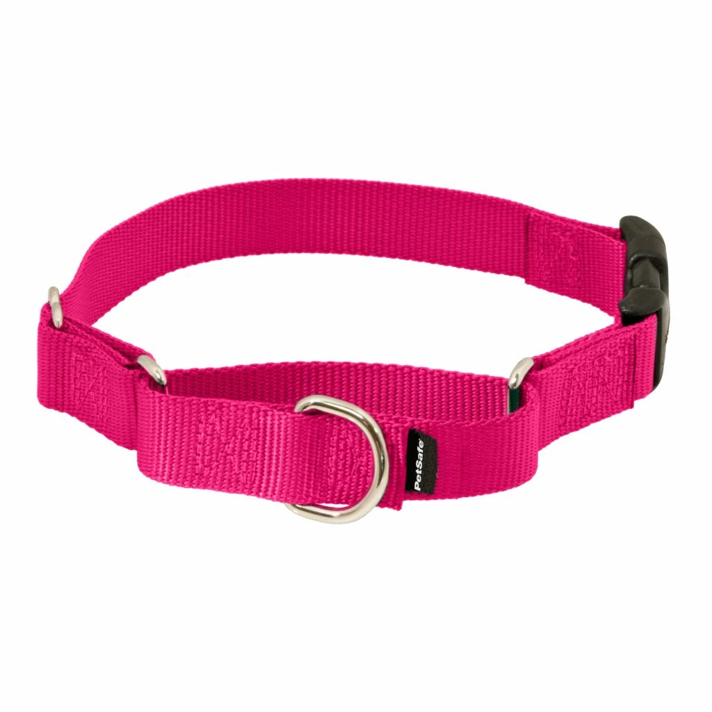PetSafe Martingale Dog Collar with Quick Snap Buckle 7 PetSafe Martingale Dog Collar with Quick Snap Buckle - Image 5