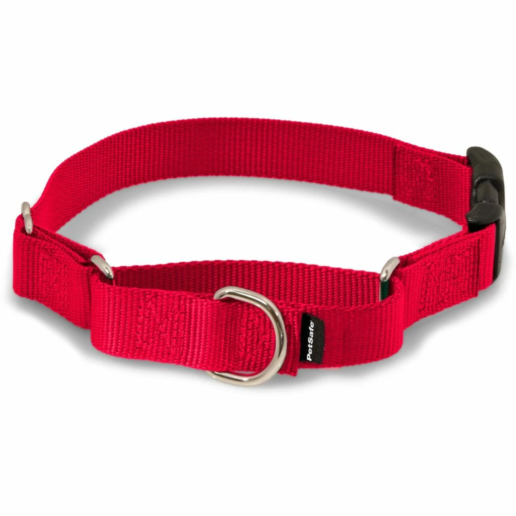 PetSafe Martingale Dog Collar with Quick Snap Buckle 6 PetSafe Martingale Dog Collar with Quick Snap Buckle - Image 4