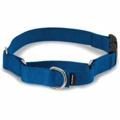 PetSafe Martingale Dog Collar with Quick Snap Buckle 10 PetSafe Martingale Dog Collar with Quick Snap Buckle -PetSafe Store 1182231