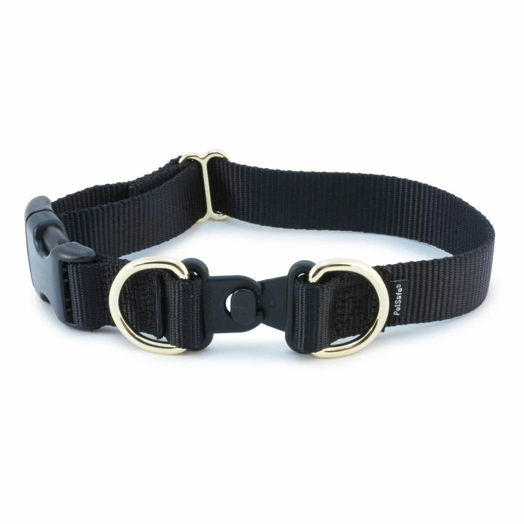 PetSafe KeepSafe Break-Away Safety Dog Collar 3 PetSafe KeepSafe Break-Away Safety Dog Collar