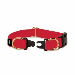 PetSafe KeepSafe Break-Away Safety Dog Collar 7 PetSafe KeepSafe Break-Away Safety Dog Collar -PetSafe Store 1182290