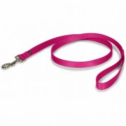 PetSafe Nylon Dog Leash -PetSafe Store 1182311