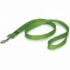 PetSafe Nylon Dog Leash 1 PetSafe Nylon Dog Leash -PetSafe Store 1182324