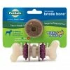 PetSafe Busy Buddy Bristle Bone, Extra Small -PetSafe Store 1182346