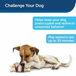 PetSafe Busy Buddy Bristle Bone, Extra Small -PetSafe Store 1182346 A3