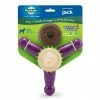 PetSafe Busy Buddy Dental Health Jack Dog Chew Toy, Large -PetSafe Store 1182360