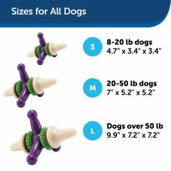 PetSafe Busy Buddy Dental Health Jack Dog Chew Toy, Large 14 PetSafe Busy Buddy Dental Health Jack Dog Chew Toy, Large -PetSafe Store 1182360 A4