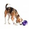 PetSafe Busy Buddy Magic Mushroom Dog Chew Toy -PetSafe Store 1182363