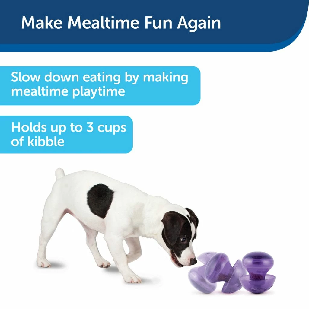 PetSafe Busy Buddy Magic Mushroom Dog Chew Toy 4 PetSafe Busy Buddy Magic Mushroom Dog Chew Toy - Image 2