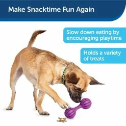 PetSafe Busy Buddy Waggle Dog Chew Toy -PetSafe Store 1182381 A2