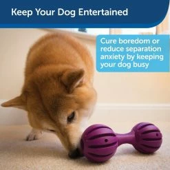 PetSafe Busy Buddy Waggle Dog Chew Toy -PetSafe Store 1182381 A4