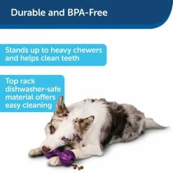 PetSafe Busy Buddy Waggle Dog Chew Toy -PetSafe Store 1182381 A5