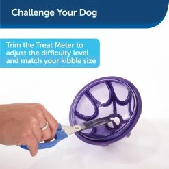 PetSafe Busy Buddy Kibble Nibble Dog Chew Toy -PetSafe Store 1182383 A2