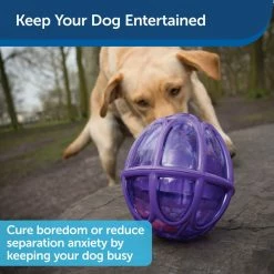PetSafe Busy Buddy Kibble Nibble Dog Chew Toy -PetSafe Store 1182383 A3