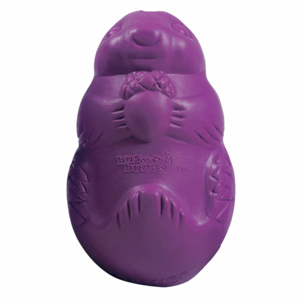 PetSafe Busy Buddy Squirrel Dude Dog Chew Toy, Medium 3 PetSafe Busy Buddy Squirrel Dude Dog Chew Toy, Medium