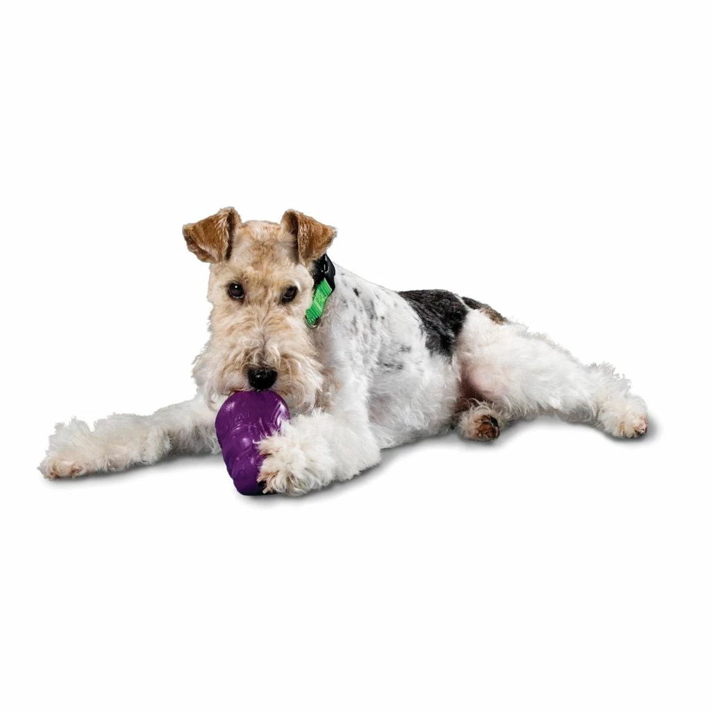 PetSafe Busy Buddy Squirrel Dude Dog Chew Toy, Medium 4 PetSafe Busy Buddy Squirrel Dude Dog Chew Toy, Medium - Image 2