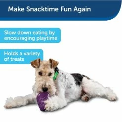 PetSafe Busy Buddy Squirrel Dude Dog Chew Toy, Medium 12 PetSafe Busy Buddy Squirrel Dude Dog Chew Toy, Medium -PetSafe Store 1182387 A2