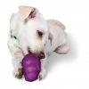 PetSafe Busy Buddy Squirrel Dude Dog Chew Toy 1 PetSafe Busy Buddy Squirrel Dude Dog Chew Toy -PetSafe Store 1182388