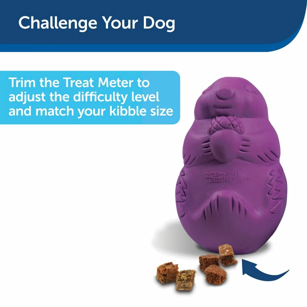 PetSafe Busy Buddy Squirrel Dude Dog Chew Toy 5 PetSafe Busy Buddy Squirrel Dude Dog Chew Toy - Image 3