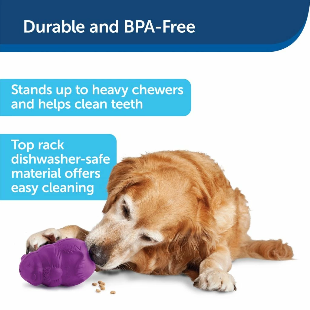 PetSafe Busy Buddy Squirrel Dude Dog Chew Toy 7 PetSafe Busy Buddy Squirrel Dude Dog Chew Toy - Image 5