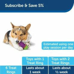 PetSafe Busy Buddy Ultra-Thick Natural Rawhide Dog Treats, Small -PetSafe Store 1182409 A5