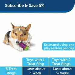 PetSafe Busy Buddy Ultra-Thick Natural Rawhide Dog Treats, Medium -PetSafe Store 1182410 A5