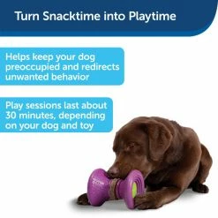 PetSafe Busy Buddy Ultra-Thick Natural Rawhide Dog Chews, Large 12 PetSafe Busy Buddy Ultra-Thick Natural Rawhide Dog Chews, Large -PetSafe Store 1182411 A2