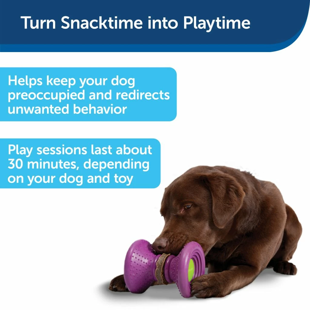 PetSafe Busy Buddy Ultra-Thick Natural Rawhide Dog Chews, Large 5 PetSafe Busy Buddy Ultra-Thick Natural Rawhide Dog Chews, Large - Image 3