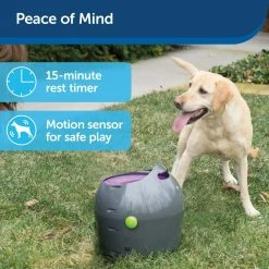 PetSafe Automatic Ball Launcher Dog Toy - Tennis Ball Throwing Machine for Dogs -PetSafe Store 1204235 A3