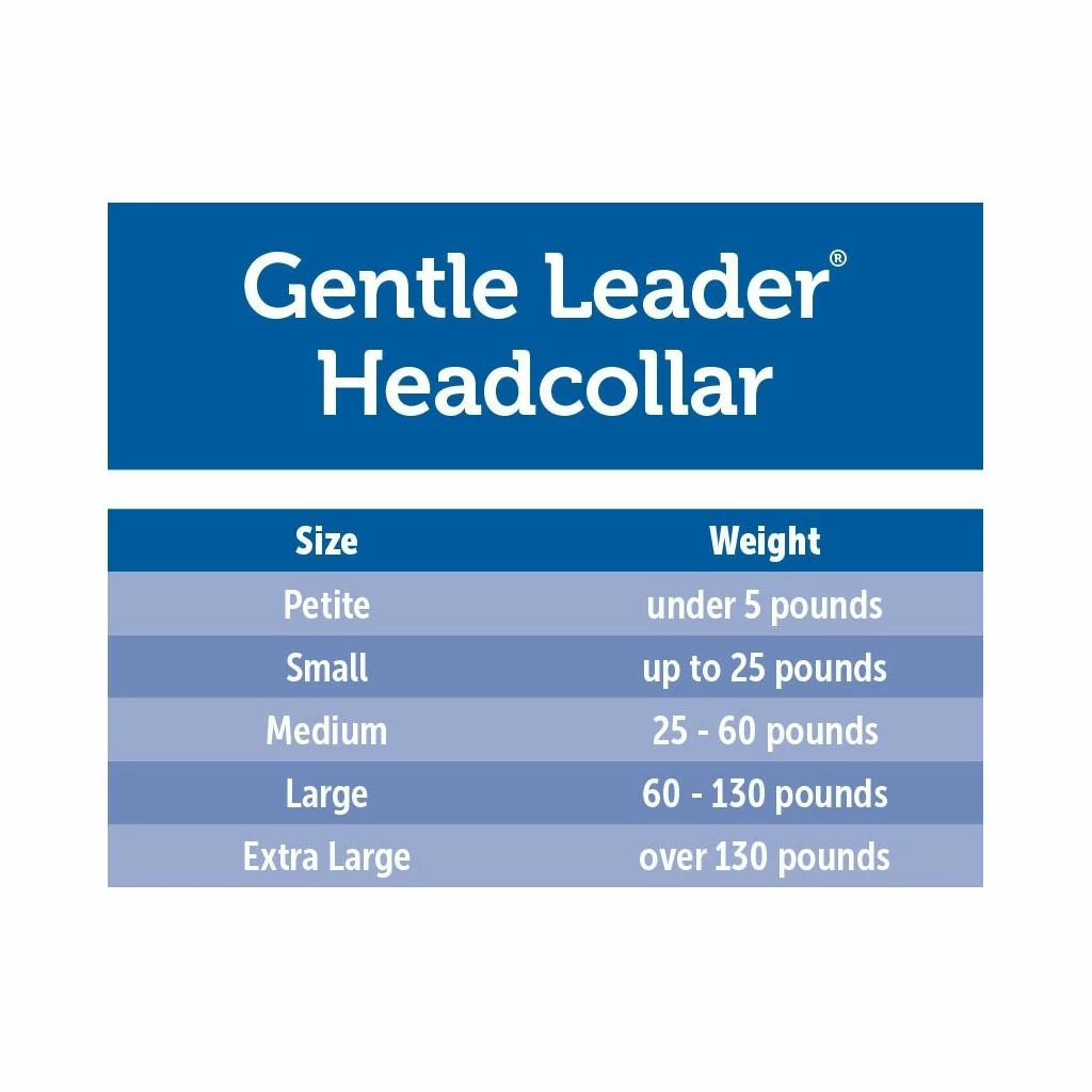 PetSafe Gentle Leader Chic Designer Headcollar & Leash, Donuts 8 PetSafe Gentle Leader Chic Designer Headcollar & Leash, Donuts - Image 6