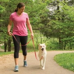 PetSafe Gentle Leader Chic Designer Headcollar and Leash, Poppies -PetSafe Store 1258751 A2