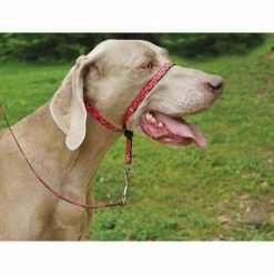 PetSafe Gentle Leader Chic Designer Headcollar and Leash, Poppies -PetSafe Store 1258751 A4