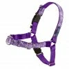 PetSafe Easy Walk No-Pull Dog Harness, Bling Design -PetSafe Store 1258762