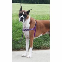 PetSafe Easy Walk No-Pull Dog Harness, Bling Design -PetSafe Store 1258762 A3