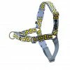 PetSafe Easy Walk Chic Dog Harness, Bonez -PetSafe Store 1258773