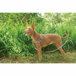 PetSafe Easy Walk Chic Dog Harness, Bonez 12 PetSafe Easy Walk Chic Dog Harness, Bonez -PetSafe Store 1258773 A3