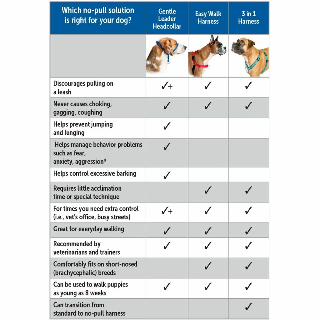 PetSafe Easy Walk Chic Dog Harness, Bonez 8 PetSafe Easy Walk Chic Dog Harness, Bonez - Image 6