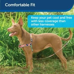 PetSafe Easy Walk Chic Dog Harness, Donuts -PetSafe Store 1258774 A2