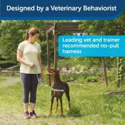 PetSafe Easy Walk Chic Dog Harness, Donuts -PetSafe Store 1258774 A3