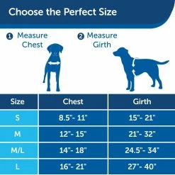 PetSafe Easy Walk Chic Dog Harness, Donuts -PetSafe Store 1258774 A5