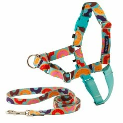 PetSafe Easy Walk Chic Dog Harness, Donuts -PetSafe Store 1258774 A8