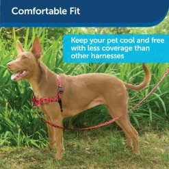 PetSafe Easy Walk Chic Dog Harness Poppies -PetSafe Store 1258775 A2