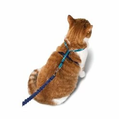 PetSafe Come with Me Kitty Adjustable Glitter Cat Harness and Bungee Leash, 3/8 in. -PetSafe Store 1258777 A3