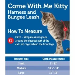PetSafe Come with Me Kitty Adjustable Glitter Cat Harness and Bungee Leash, 3/8 in. -PetSafe Store 1258777 A4