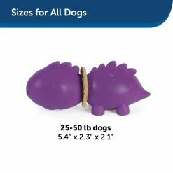 PetSafe Busy Buddy Dinosaur Dog Chew Toy, Medium -PetSafe Store 1258794 A4