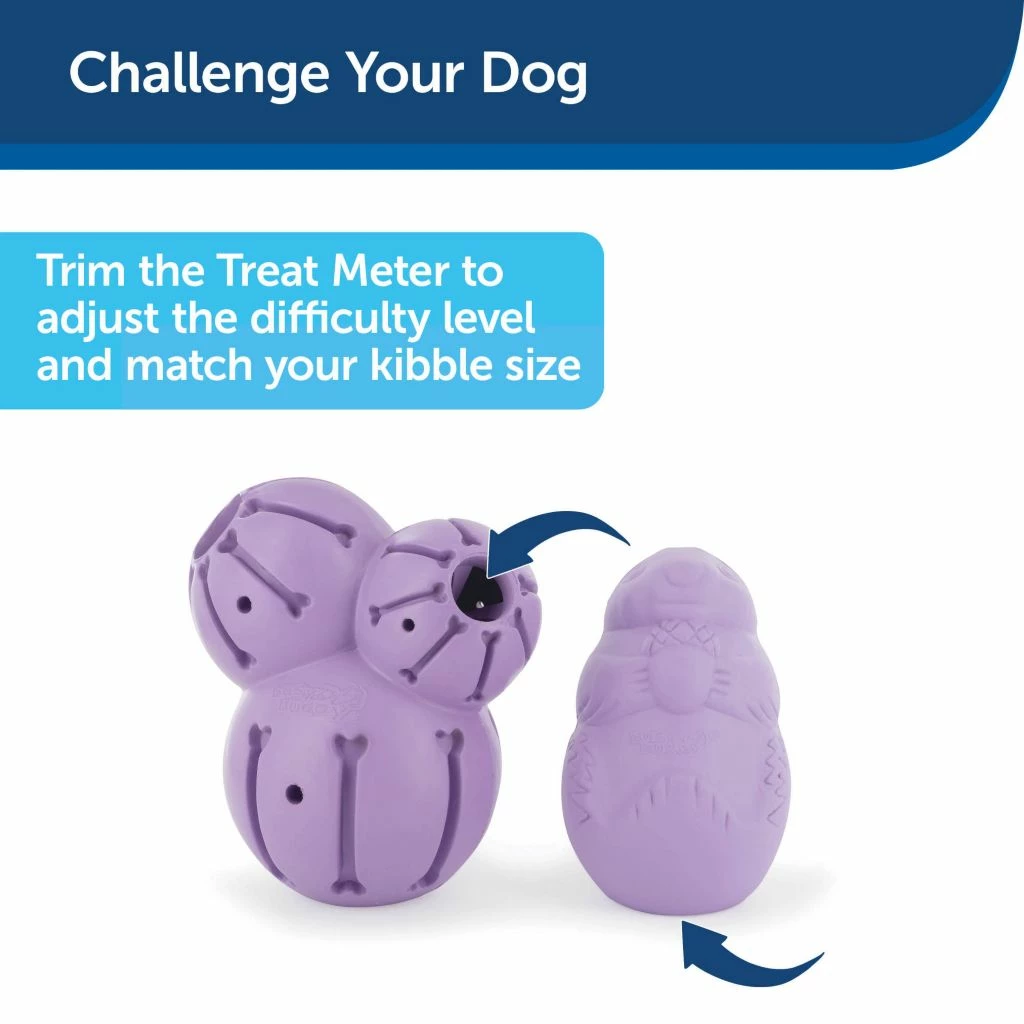 PetSafe Busy Buddy Chamomile-Scented Calming Dog Toys, Small, 2 pk. 4 PetSafe Busy Buddy Chamomile-Scented Calming Dog Toys, Small, 2 pk. - Image 2